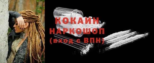винт Гусь-Хрустальный