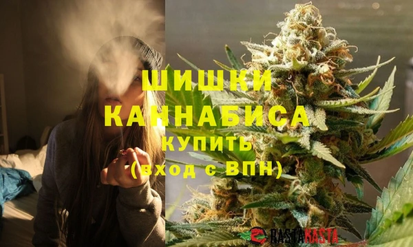 винт Гусь-Хрустальный