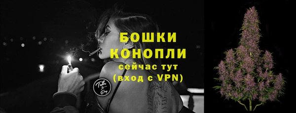 СК Гусев