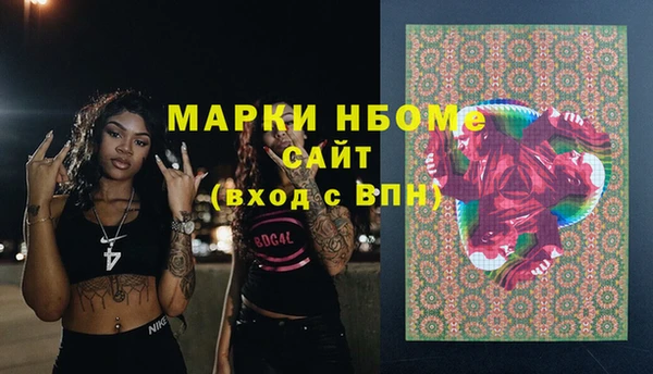 винт Гусь-Хрустальный