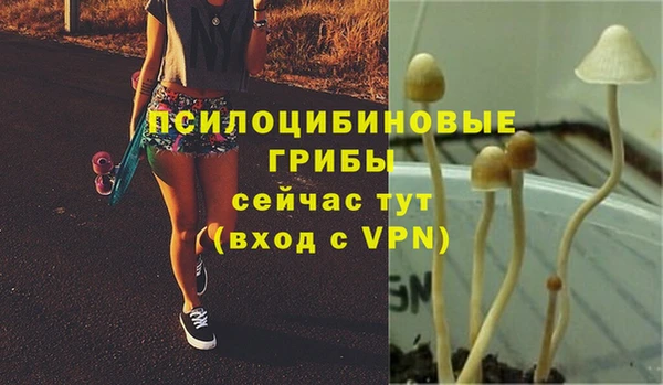синтетический гашиш Гусиноозёрск