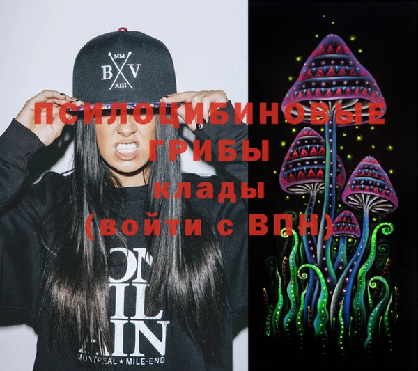 винт Гусь-Хрустальный