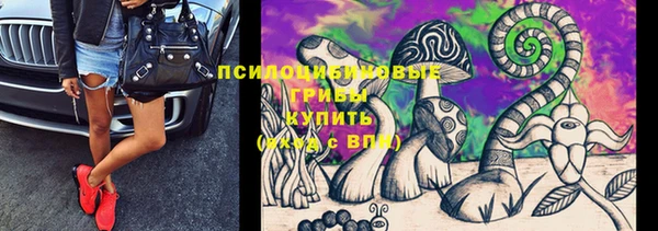 СК Гусев