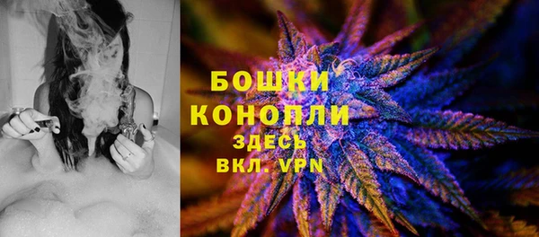 винт Гусь-Хрустальный