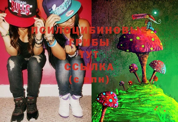 винт Гусь-Хрустальный