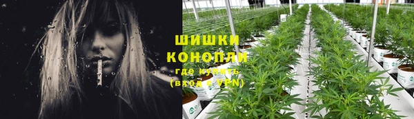 винт Гусь-Хрустальный