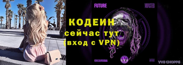 винт Гусь-Хрустальный